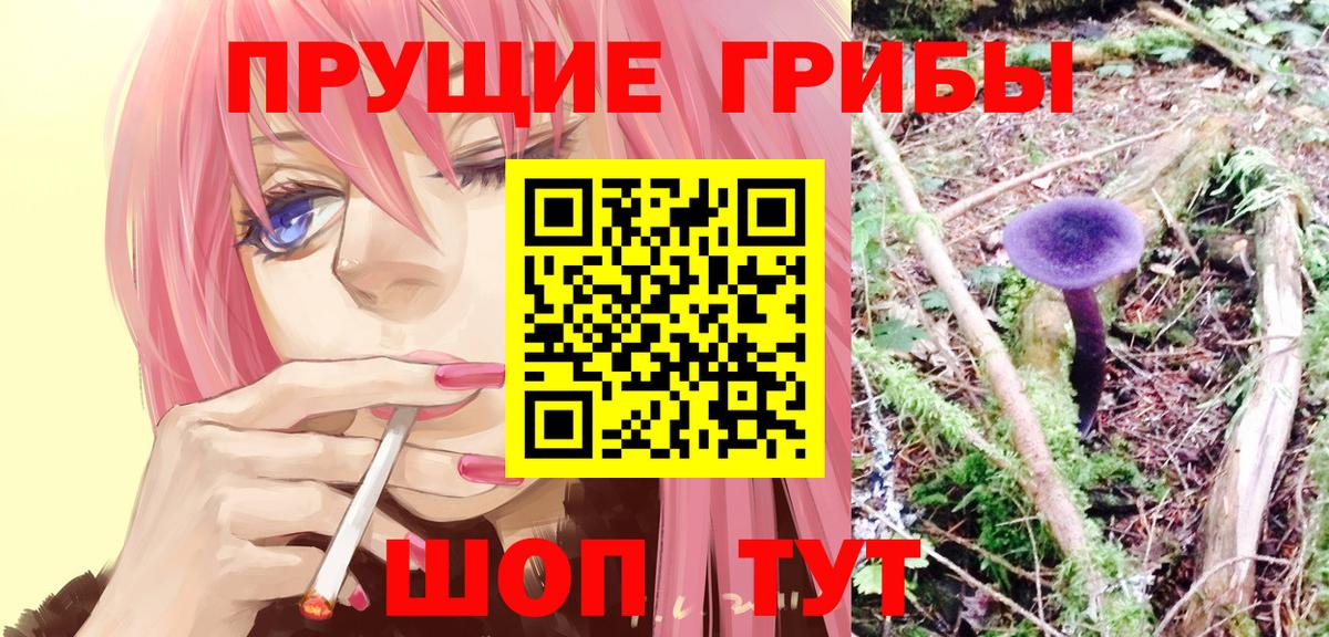Галлюциногенные грибы Cubensis Черногорск