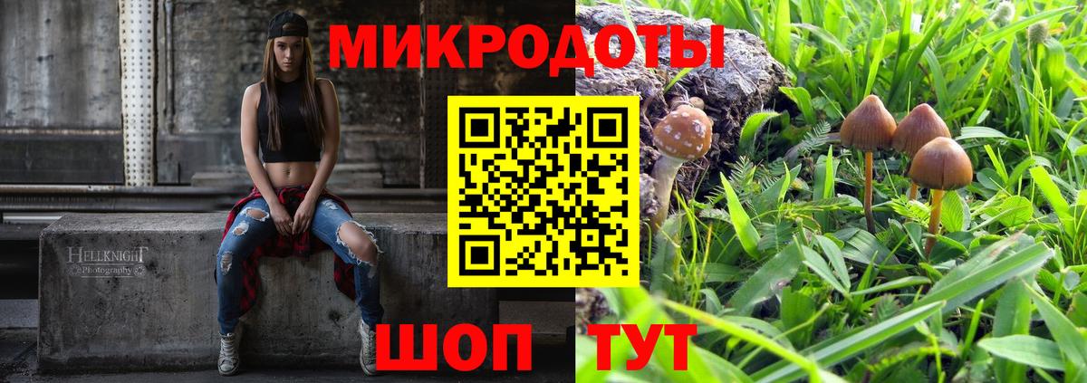 Псилоцибиновые грибы ЛСД  наркота  Черногорск  Вход с VPN 