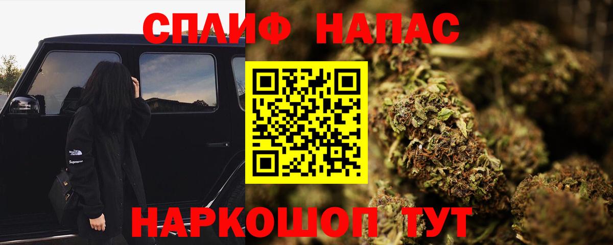 МАРИХУАНА семена  Каннабис MAZAR  Черногорск  Вход с VPN  Бошки марихуана индика 
